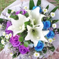 White Lily with 12 Blue Roses